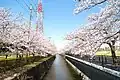2015年3月