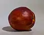 Nectarine on a neutral background