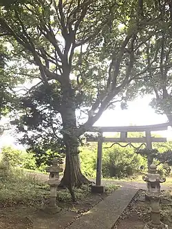 子ノ神古墳(子ノ神神社)