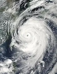 衛星画像(7月8日)