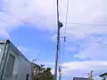 電柱上に作られた巣。佐賀市内にて撮影。