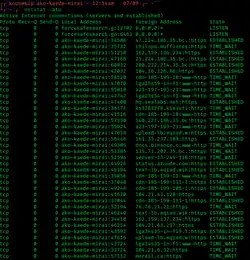 netstatのスクリーンショット