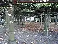 Lindenanlage