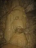 洞窟内にある「骨格」