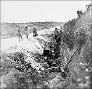 1916に撮影された、ニューファンドランド兵