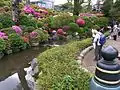 根津神社のつつじ（2010年4月24日撮影）