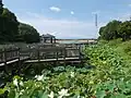 長池上部