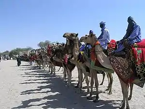 ンギグミの伝統的首長の家の前に並んだ駱駝乗り達