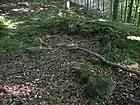 ヴァレンフェルス城趾