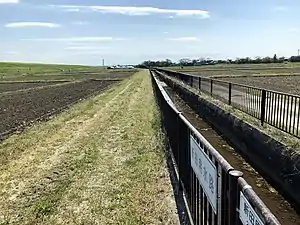 新田用水路 2020年4月撮影