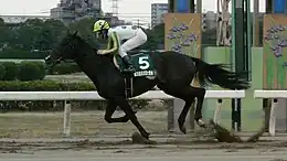 ニホンピロアワーズ（2007年産）
