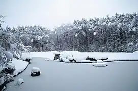 日本庭園・冬