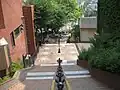 頂点から見たどっぺり坂