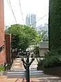 どっぺり坂からの風景