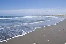 日川浜海水浴場