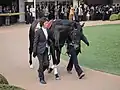 日経賞 パドック