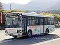 阪東自動車からの移籍車両。阪東自動車カラーに「NIKKO」