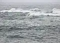 人参島 Ninjinjima1/半造から光学15倍