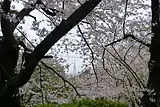 西公園(福岡県福岡市)