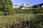 西鰌池