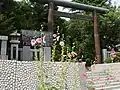 夏の境内