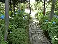 夏の境内
