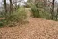 前方部から後円部を望む