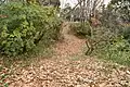 後円部から前方部を望む