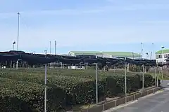 ネットが準備された畝（2月）