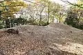 墳丘左に前方部、右奥に後円部。