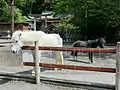 丹生川上神社下社にて。(奈良県下市町)