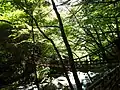 北岸から手前に女橋、奥に男橋