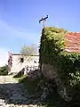 ニェグシの通り