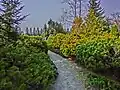 ヨーロッパ庭園