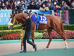 13　ノーブルマーズ