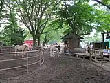 グリーンフィールド