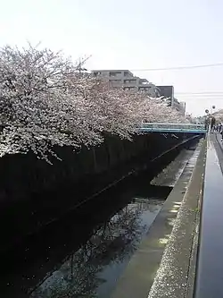 呑川