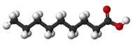 分子模型