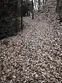 則定椎城跡（帯曲輪）