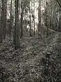則定城跡