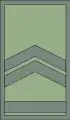 Водник 1 класаVodnik 1 klasa(北マケドニア陸軍)