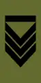 Sersjant 1. klasse(ノルウェー陸軍)