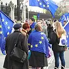 EU離脱政策への抗議(2019年11月)