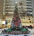 1階に飾られたクリスマスツリー（2023年12月）