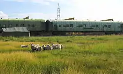 211核兵器基地遺跡付近の風景