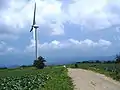 布引風力発電所-布引高原のキャベツ畑と風車。(平成19年8月)