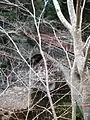 分水堰堤付属橋