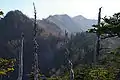 一里ヶ曽根2,300m付近からの女峰山。