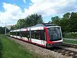 アドトランツ製車両（ドイツ：ライン＝ネッカー大都市圏）