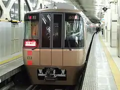 ニューイヤーエクスプレス（EXE6両）（2008年1月1日 新宿駅）
